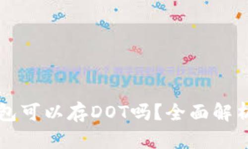 以太坊冷钱包可以存DOT吗？全面解析及操作指南