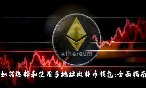 如何选择和使用多地址比特币钱包：全面指南
