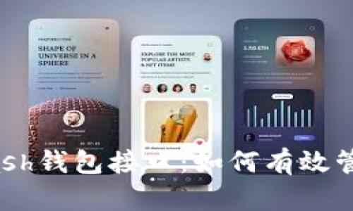 深入了解Dash钱包接口：如何有效管理数字资产