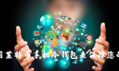 如何选择和使用莱特币手机冷钱包来保障您的数