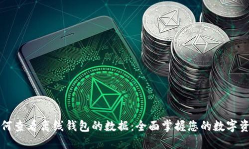 如何查看离线钱包的数据：全面掌握您的数字资产