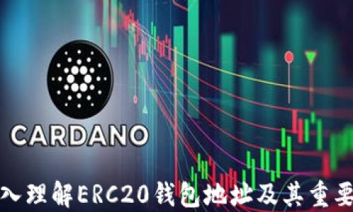 
深入理解ERC20钱包地址及其重要性