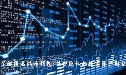 深入了解匿名混币钱包：保护隐私的数字资产解决方案