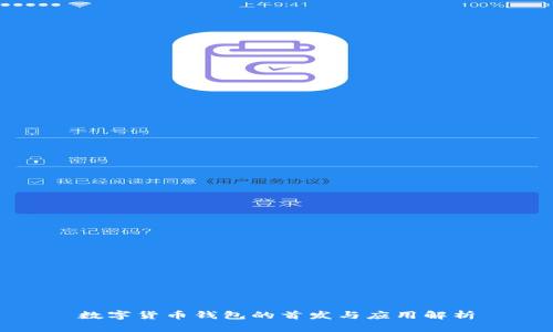数字货币钱包的首发与应用解析
