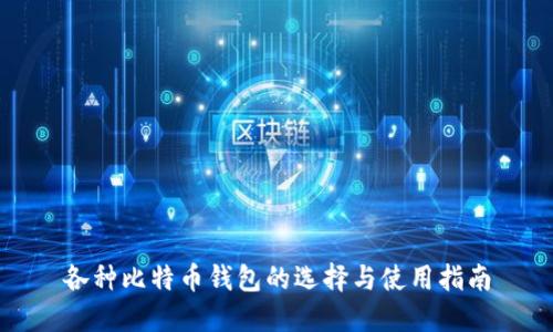 各种比特币钱包的选择与使用指南