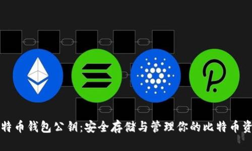 比特币钱包公钥：安全存储与管理你的比特币资产
