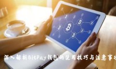 : 深入解析BitPay钱包的使用技巧与注意事项