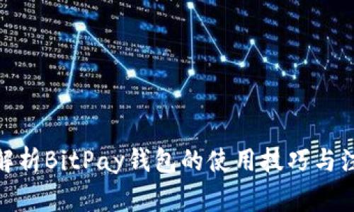 : 深入解析BitPay钱包的使用技巧与注意事项