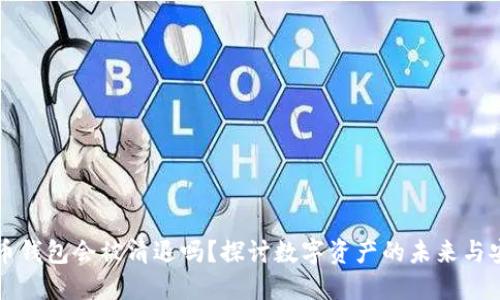 虚拟币钱包会被清退吗？探讨数字资产的未来与安全性